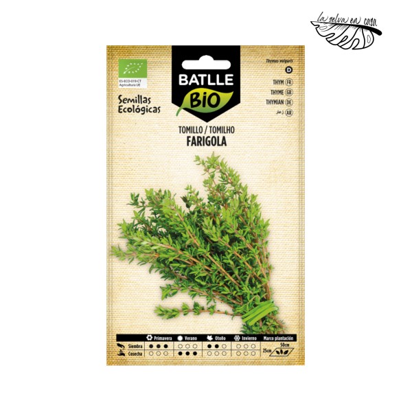 Tomillo (Thymus vulgaris) – Semillas BATLLE BIO