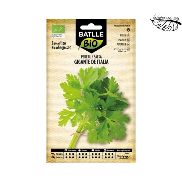 Perejil Gigante de Italia (Petroselinum crispum) – Semillas BATLLE BIO