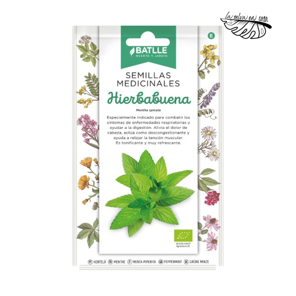 Hierbabuena Medicinal (Mentha spicata) – Semillas BATLLE BIO