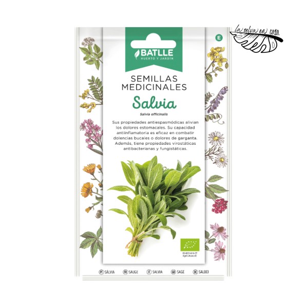 Salvia Medicinal (Salvia officinalis) – Semillas BATLLE BIO
