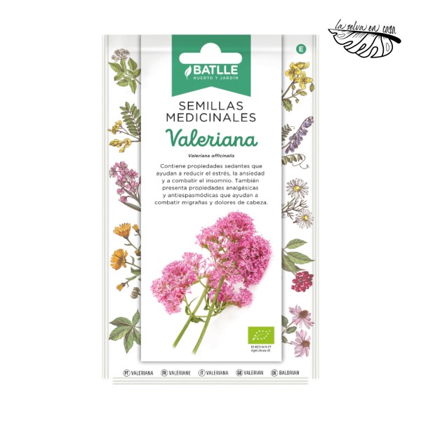 Valeriana Medicinal (Valeriana officinalis) – Semillas BATLLE BIO