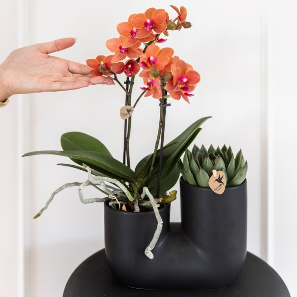 Kolibri Home Tube black DOBLE 18CM