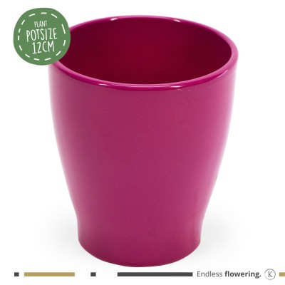 MACETA Kolibri Carolina Purple 14CM 2