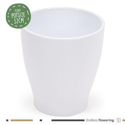 MACETA Kolibri Carolina White 14CM 2