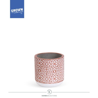 MACETA Kolibri Florence pink 9CM 2