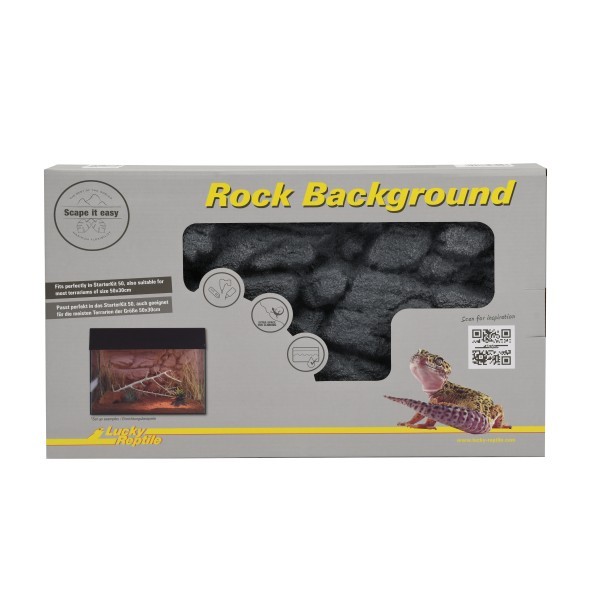 Rock Background