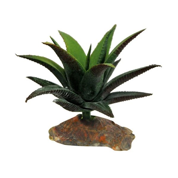 Succulent small / Planta artificial / Lucky reptile Meta-título