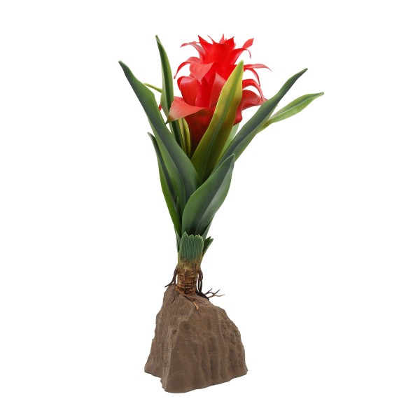 Bromelia large red / Planta artificial / Lucky reptile