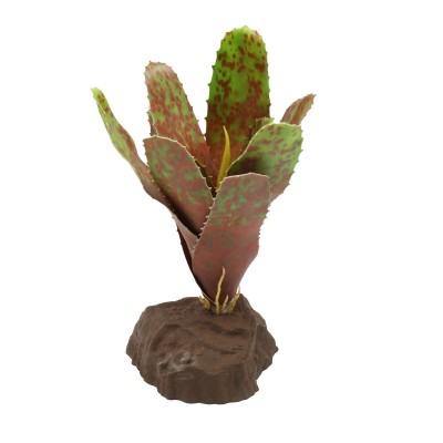 Lucky Reptile Bromelia Neoregelia Green– Planta Artificial para Terrarios Tropicales
