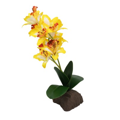 Orchid large yellow / Plantas artificiales / Lucky reptile