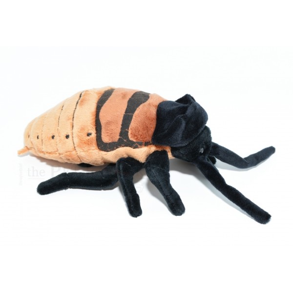 Peluche Cucaracha Silvadora Gigante de Madagascar