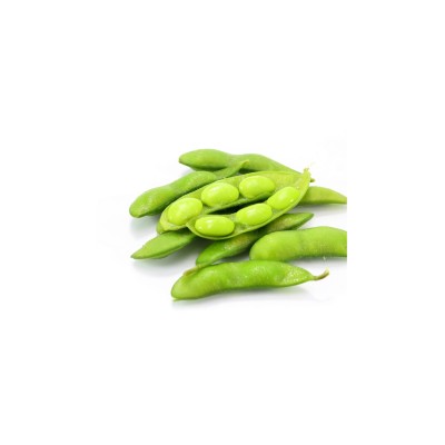 Edamame, Glycine max.