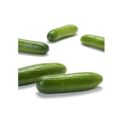 Pepino snack mycubies, Cucumis sativus. 2