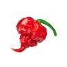 Pimiento picante carolina reaper, Capsicum annuum.
