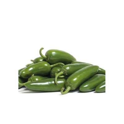 Pimiento picante jalapeño Capsicum annuum. 2