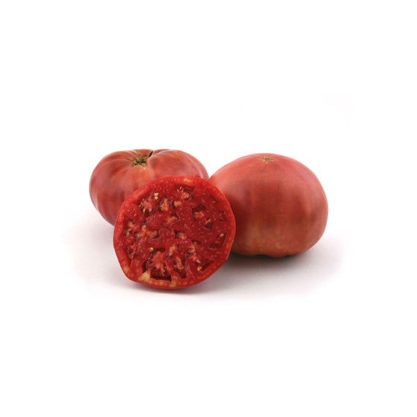 Tomate rosa, Solanum lycopersicum.
