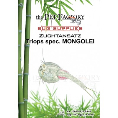 Triops sp. MONGOLIA