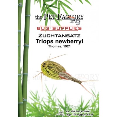 Triops newberryi