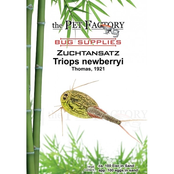 Triops newberryi