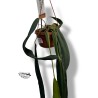 Anthurium wendlingeri