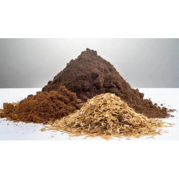 Cáscara Arroz cascarilla