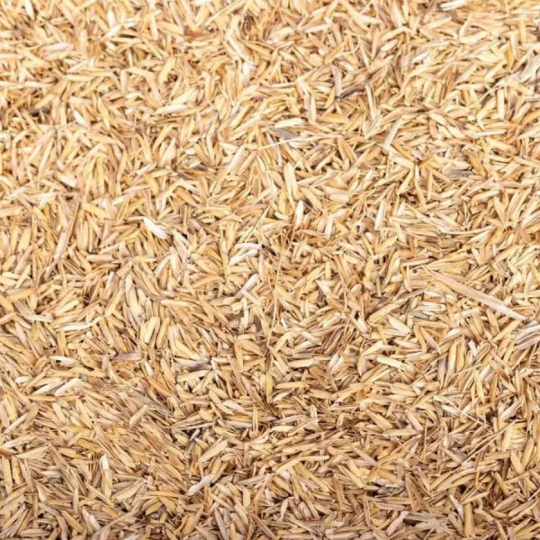 Cáscara Arroz cascarilla