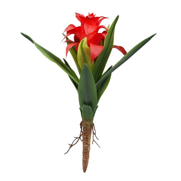 Bromelia large red / Planta artificial / Lucky reptile