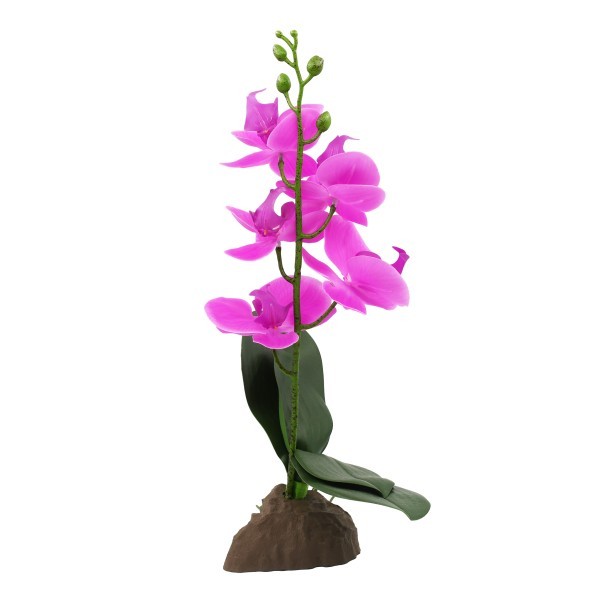 Orchid small purple / Plantas artificiales / Lucky Reptile