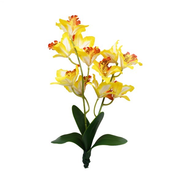 Orchid large yellow / Plantas artificiales / Lucky reptile