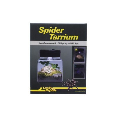 SpiderTarrium 2L – Nano Terrario para Arañas e Invertebrados (15 x 15 x 15 cm) | Lucky Reptile