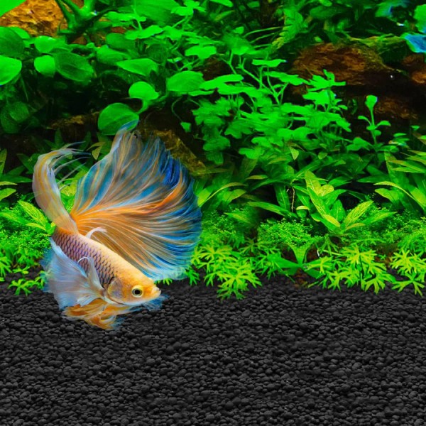 Sustrato Fluval Betta Stratum para acuarios plantados con Bettas