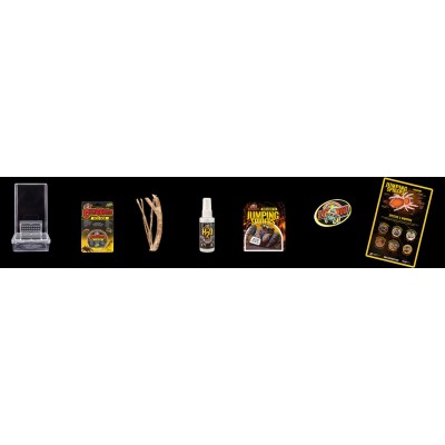 Creatures® Jumping Spider Kit – Hábitat para Arañas Saltadoras 2