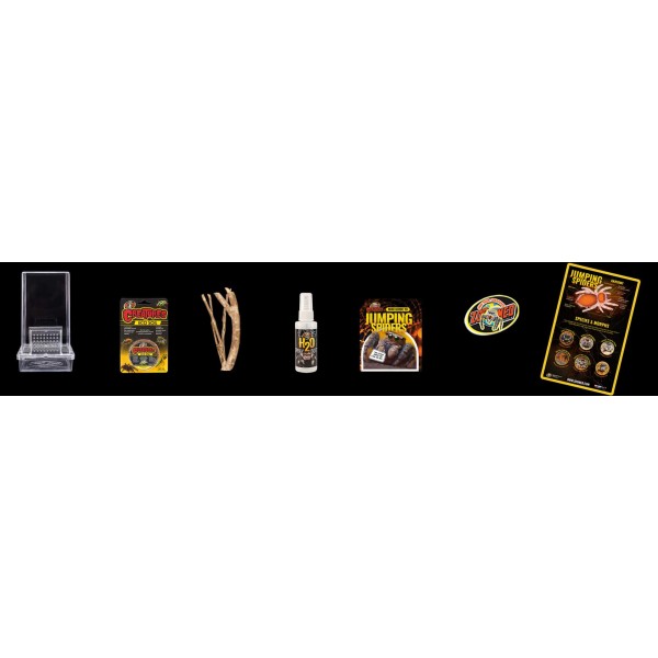 Creatures® Jumping Spider Kit – Hábitat para Arañas Saltadoras