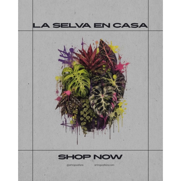 Camiseta La Selva en Casa – Logo y Diseño Botánico