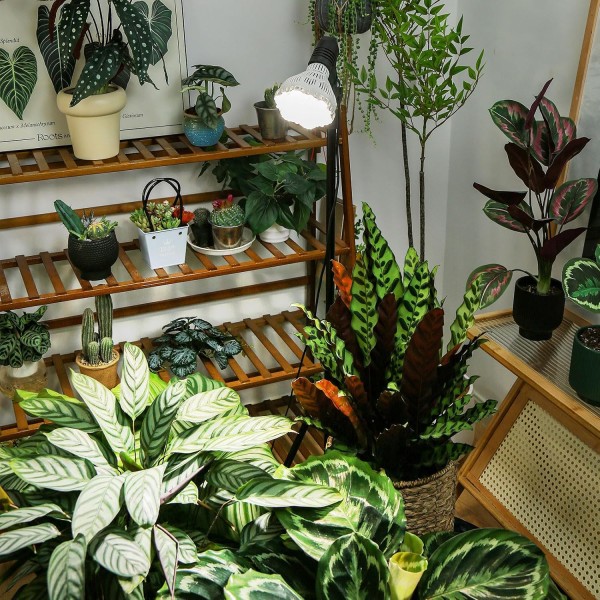 Lámpara LED para Plantas BR30 40 W con Trípode y Temporizador | SANSI