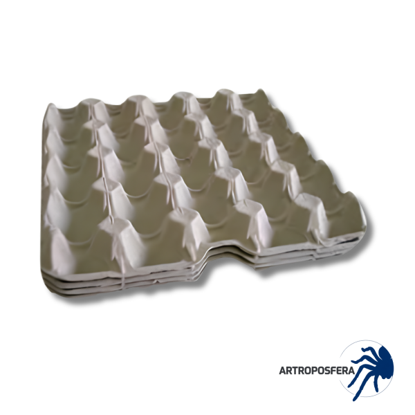 Huevera de Cartón para Grillos y Cucarachas | Alimento Vivo