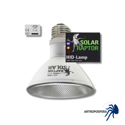 Bombilla HID UVB 35 W Flood para Terrarios | SOLAR RAPTOR