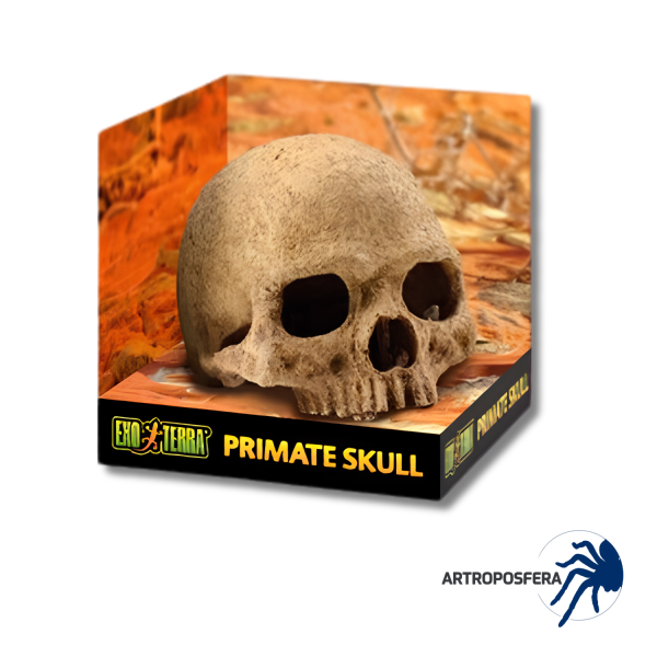Cráneo Refugio para Reptiles | Primate Skull | Exo Terra