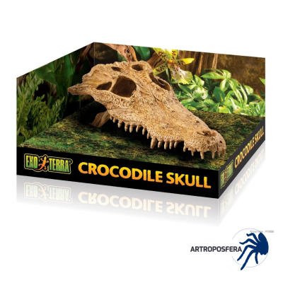Cráneo de Cocodrilo Refugio para Reptiles | Crocodile Skull | Exo Terra