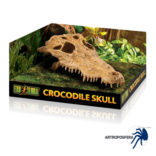Cráneo de Cocodrilo Refugio para Reptiles | Crocodile Skull | Exo Terra