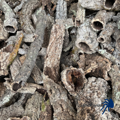 Tubo de Corcho Natural para Terrarios | Bornizo Ø 6-8 cm Varias Medidas | Artroposfera 2