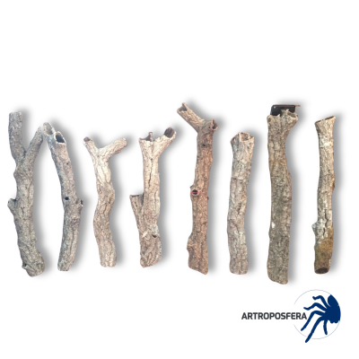 Tubo de Corcho Natural para Terrarios | Bornizo Extra Grande 80-90 cm | Artroposfera