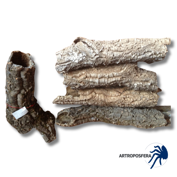 Tubo de Corcho Natural para Terrarios | Bornizo Extra Grande 55-65 cm | Artroposfera