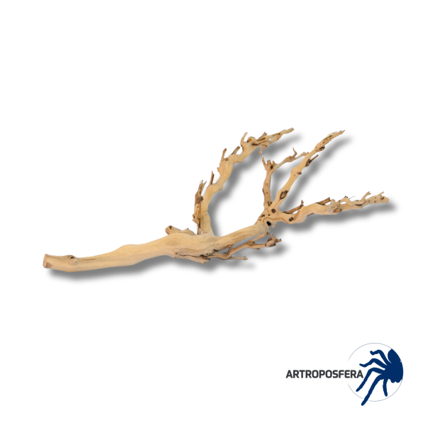 Rama Natural para Terrarios | Forest Branch 30, 45 y 60 cm | Exo Terra