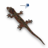 Mniarogekko chahoua