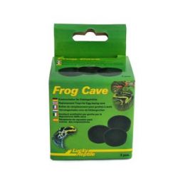 Frog Cave, Lucky Reptile.