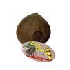 Lucky Reptile Coco Cave Entero.
