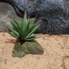 Tiger aloe 8cm, Lucky reptile.
