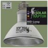 SOLAR RAPTOR® 70W Flood – Bombilla HID