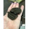 Macrochelys temminckii (Babys)